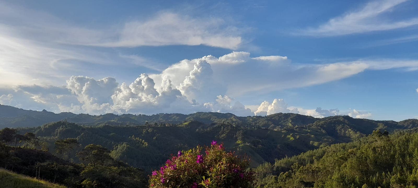 Paisaje de La Otilia